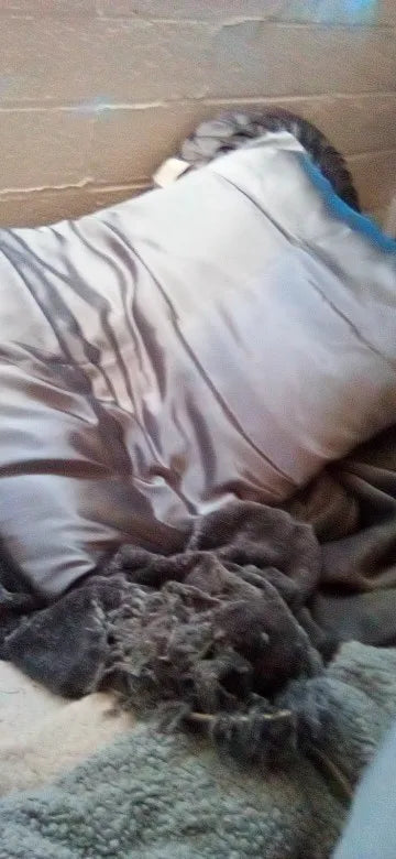 Customer photo from Ariel Ellis